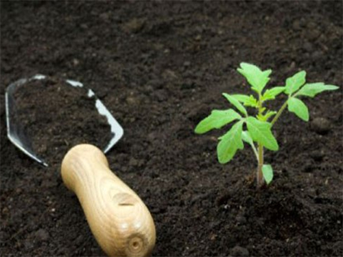 Beneficii pentru îngrășăminte Ideal pentru sol