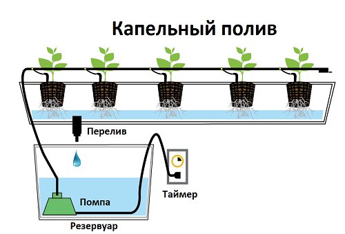 hydroponics-princip droppbevattning