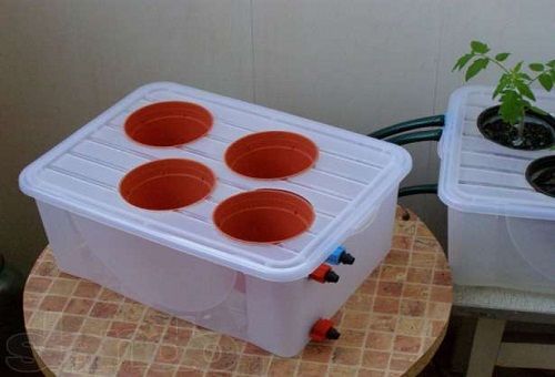behållare för hydroponics