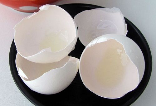 vỏ trứng