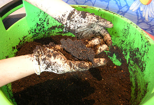 Preparation of soil for seedlings
