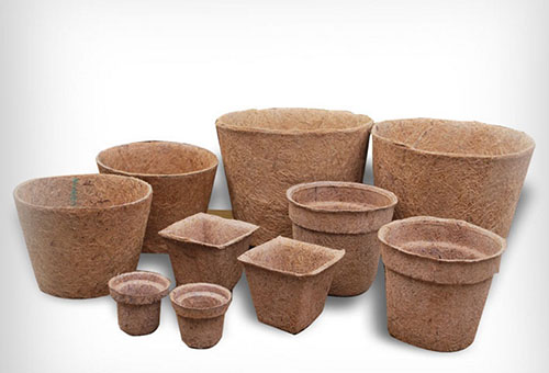 Different types of peat pots