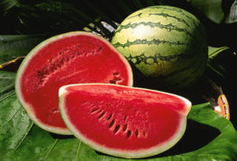 Mogen vattenmelon