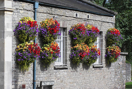Mångfärgade blommor i krukor på fasaden av huset