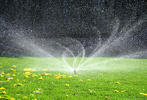 Watering the lawn