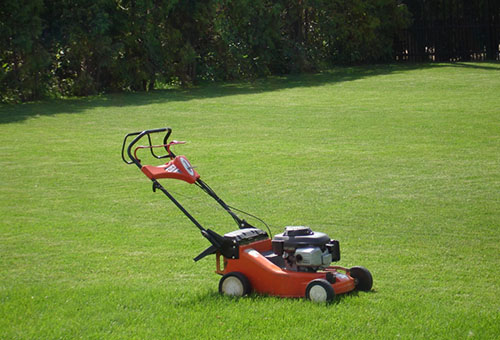 Lawn mower and mowed lawn