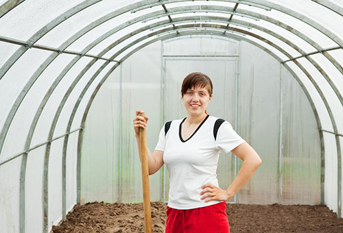 Greenhouse soil preparation