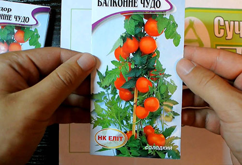 Tomato seeds Balcony miracle