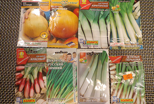 Seeds of different varieties of onions