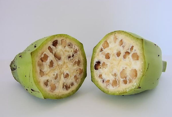 Bananfrukt med frön