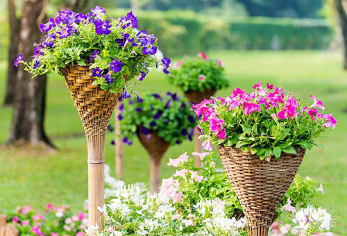 Blommor i dekorativa korgkrukor