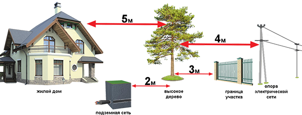Схема за засаждане на високи дървета