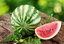 Mogen vattenmelon