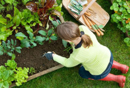 Flicka som planterar växter