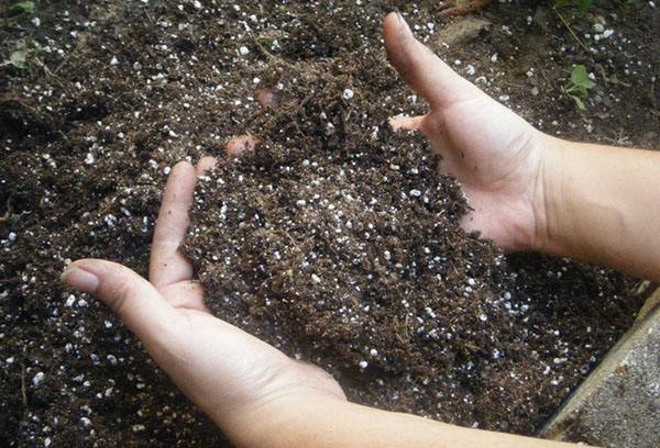 Preparación de suelo con fertilizantes.