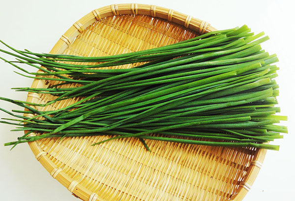Chives feather