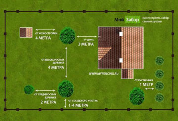 Esquema de plantación de árboles en el sitio.