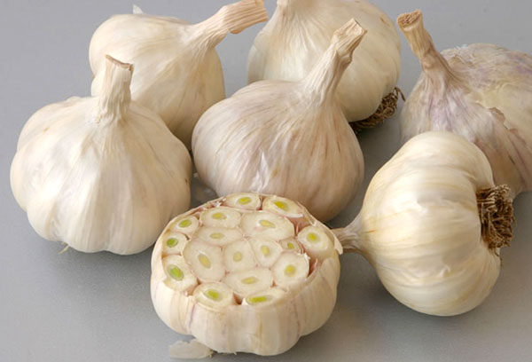Sectional head of spring garlic