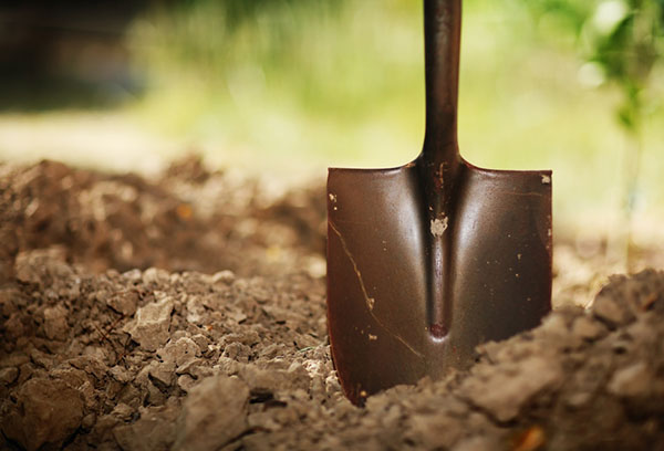 Shovel in the ground