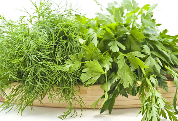 Parsley and dill