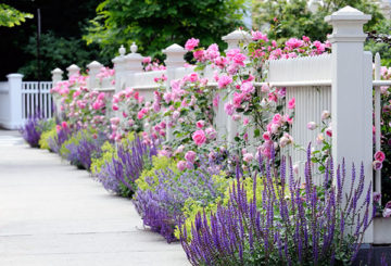 Jardín de flores junto a la valla