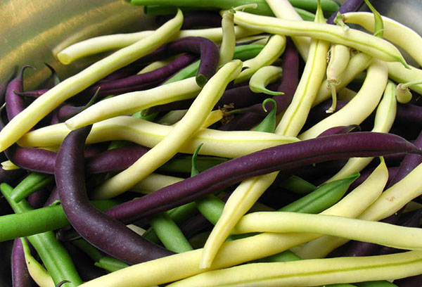 Different varieties of asparagus beans