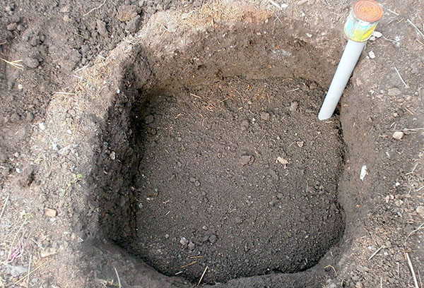 Planting pit preparation