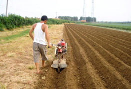 Site preparation for planting potatoes