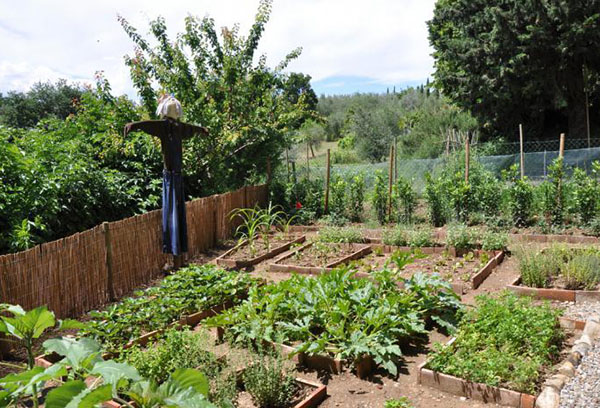 Зеленчукова градина за плашило