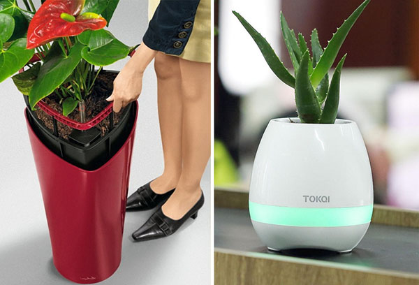 Pots with automatic watering
