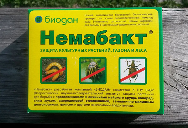 Biological product Nemabakt