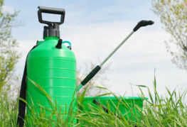 Sprayer with insecticidal solution