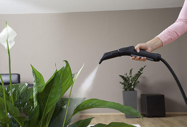 Spraying indoor plants