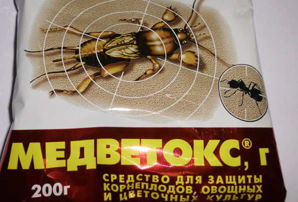 Insecticide Medvetox