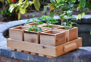 Кутия за дървени растения