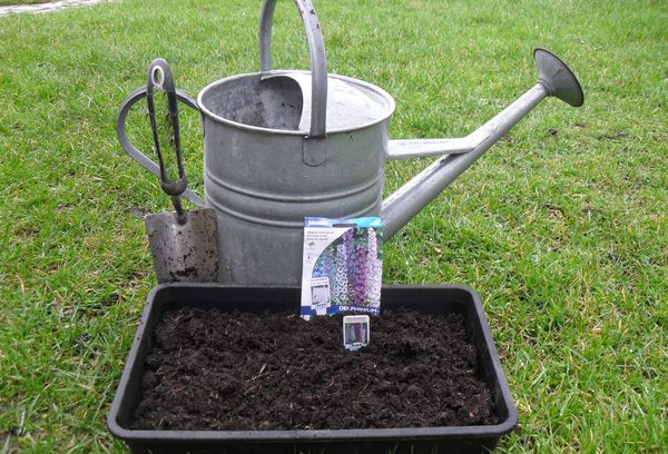Prepared soil for seedlings