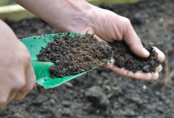 Fertilized soil