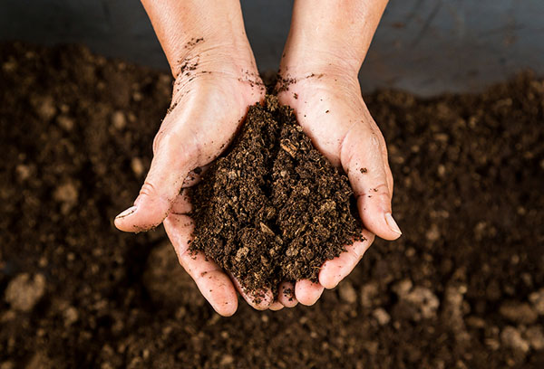 Peat for soil fertilization
