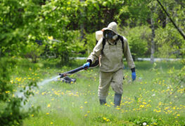 Spraying the area from mosquitoes