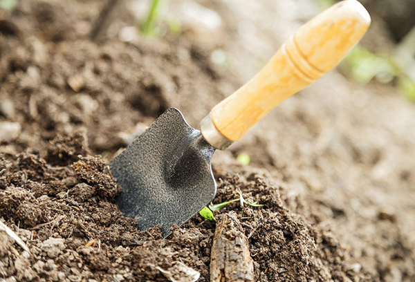 Scoop in garden soil