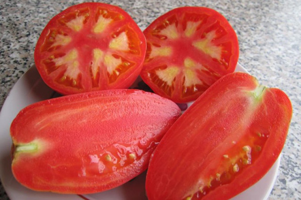 Tomater av sorten Petrusha trädgårdsmästare i sammanhanget