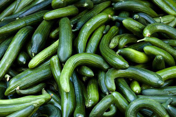 Twisted long cucumbers