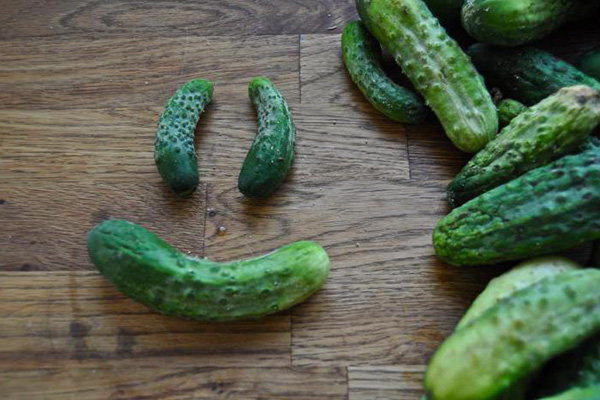 Twisted cucumbers