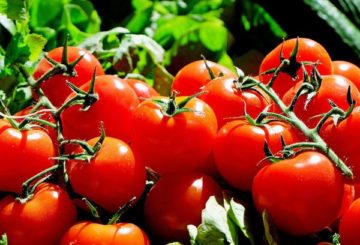 Зрели червени домати