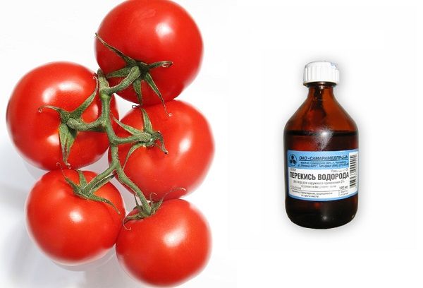 Röda tomater och väteperoxid