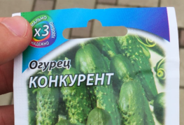 Pack of cucumber seeds Competitor