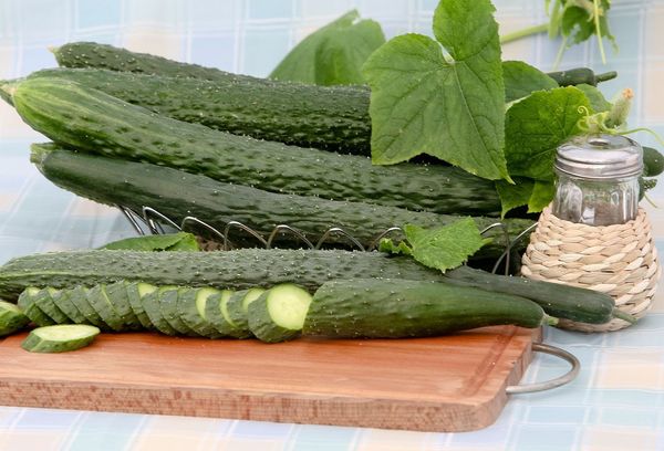 Long cucumbers