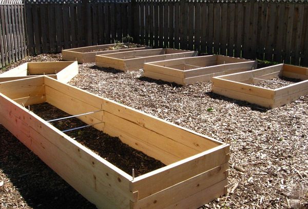 Growing boxes