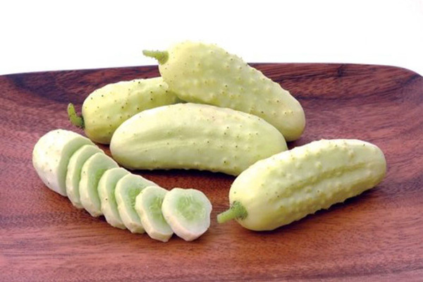 Cucumbers varieties White Italian (Bianco Lungo)