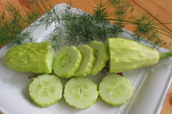 Cucumber variety Bride F1